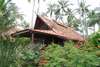 Coconut Village 
